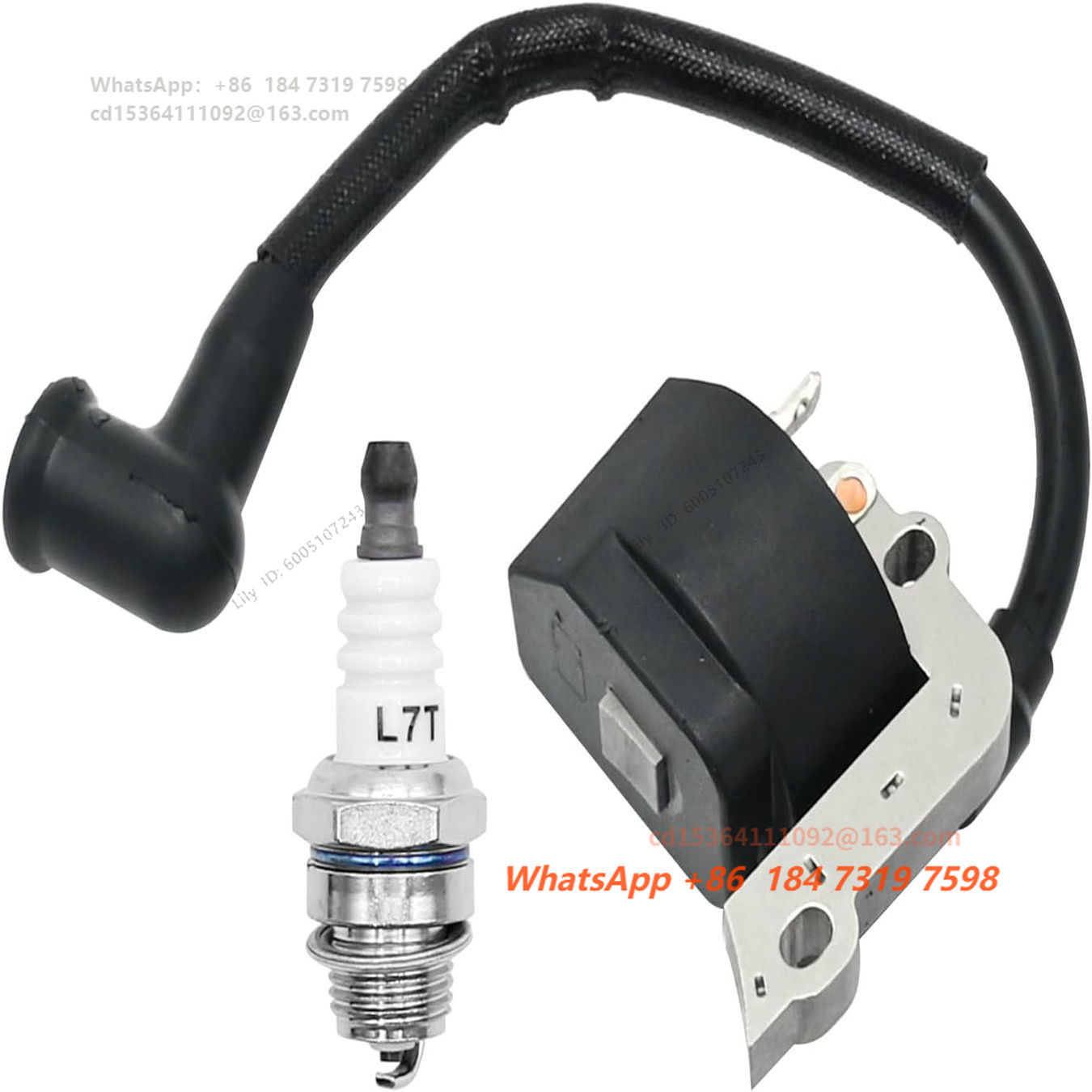 FC55、FS38、FS45、FS55、HL45、HS45用 - Spark Plug のレビューと価格