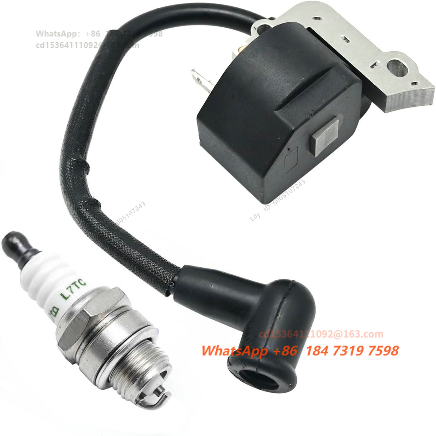 FC55、FS38、FS45、FS55、HL45、HS45用 - Spark Plug のレビューと価格