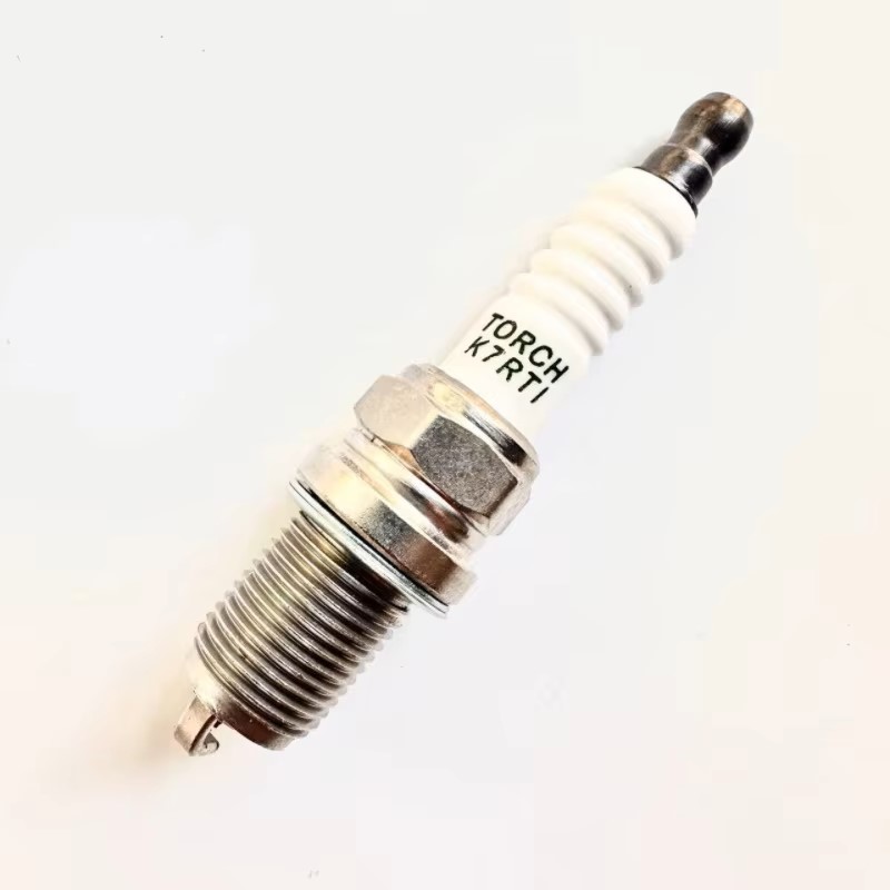 1100 Renli Joyner 1100cc ゴーカート - Spark Plug のレビューと価格